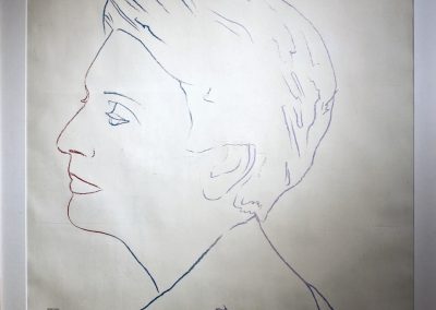 andy warhol - profile of an unknown woman