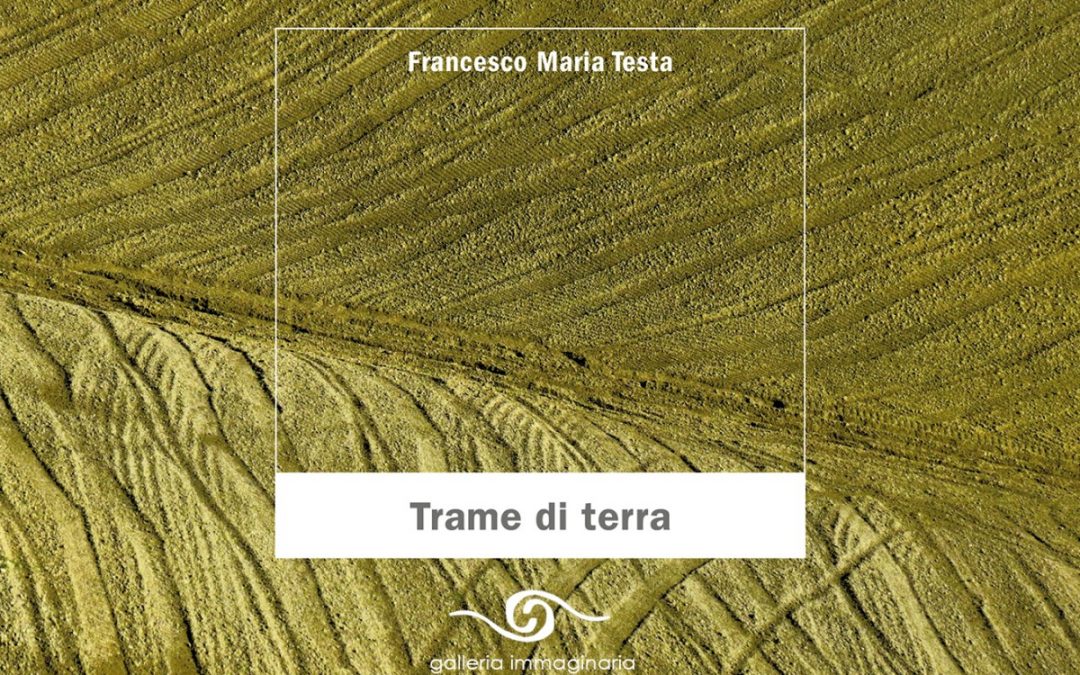 Trame di terra | Francesco Maria Testa